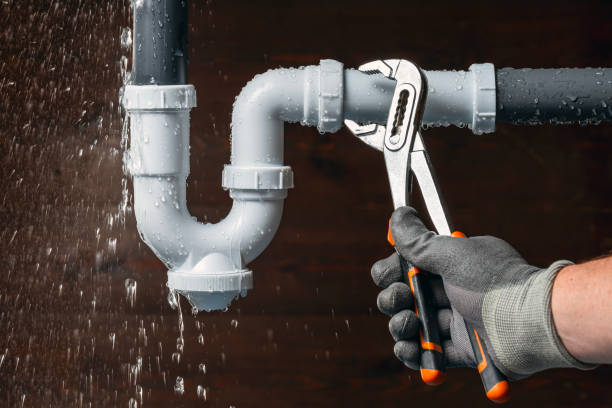 Professional Leak Detection technician working in Fishers Landing, NY